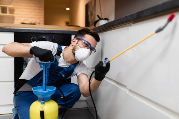Best Termite Control Services  in Cochituate, MA