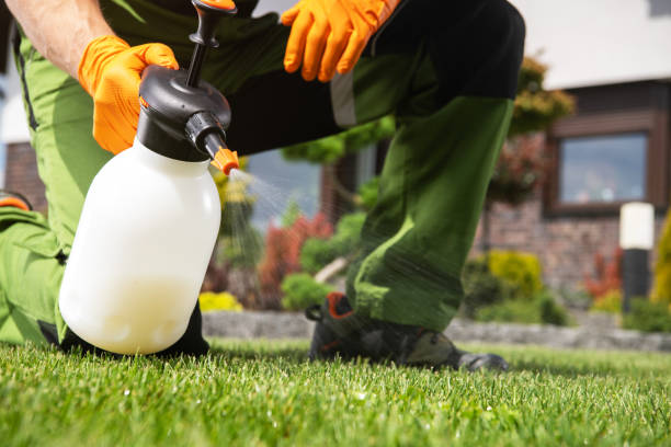 Best Wasp Removal Services  in Cochituate, MA