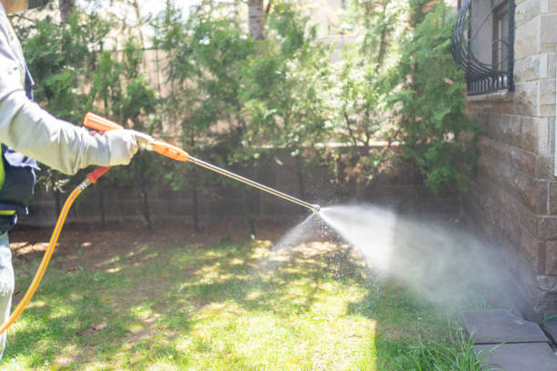 Best Best Pest Control Companies  in Cochituate, MA