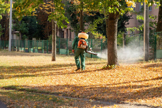 Spider Control Near Me in Cochituate, MA