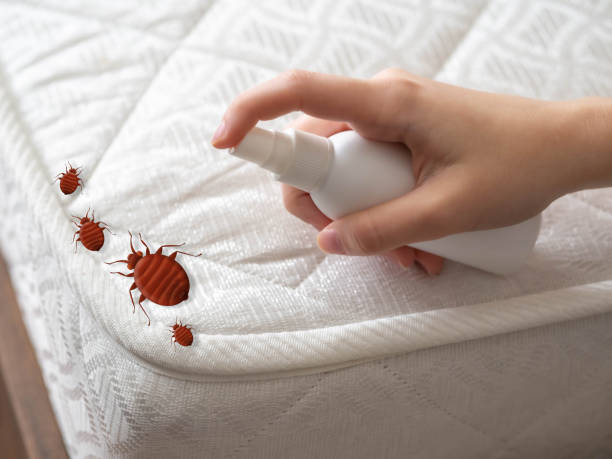 Best Pest Prevention Services  in Cochituate, MA